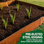 Mershine Garden 6 Pack Steel Landscape Edging w/Rust Patina Finish - 100CM x 20CM Strips Metal Border w/ 7 Clips & Gloves -Edge for Lawn Yard (600CM Total)